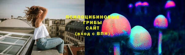 дурь Верея