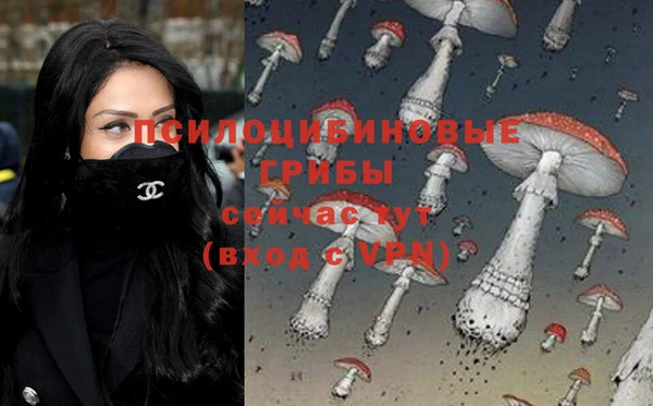 дурь Верея