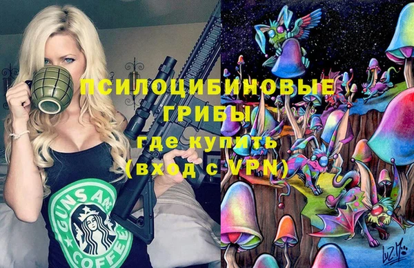 герыч Верхний Тагил