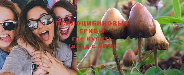 дурь Верея