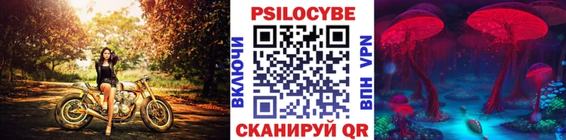 Псилоцибиновые грибы MAGIC MUSHROOMS  наркошоп  Каспийск 
