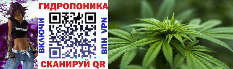 Шишки марихуана White Widow  маркетплейс состав  Каспийск 